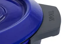 رستر 30*22 سانت آبی چدنی Woll