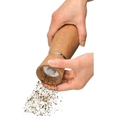 چاشنی ها